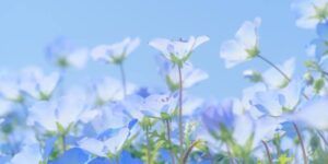 Adobestock 486938573